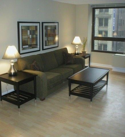 Oakwood At Millennium Park Plaza Lejlighedshotel Chicago Eksteriør billede